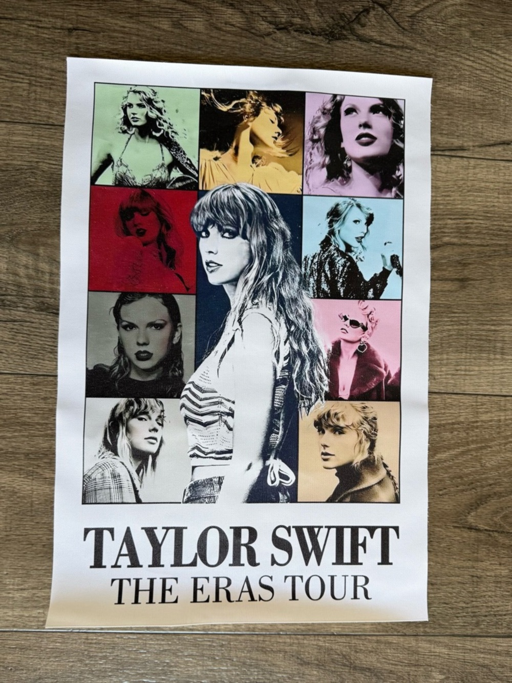 Taylor Swift Eras Tour Canvas Poster Multi-Color